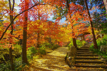 京都亀岡　神蔵寺の紅葉