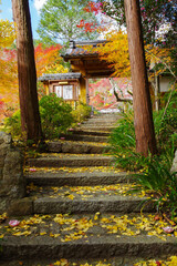 京都亀岡　神蔵寺の紅葉