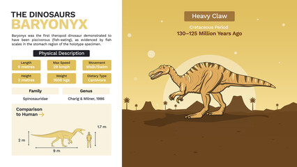 Description and Physical Characteristics of Baryonyx-Vector Illustrations © BonkersArt