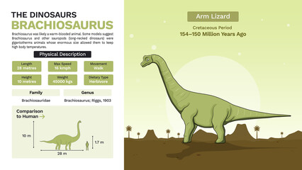 Description and Physical Characteristics of Brachiosaurus-Vector Illustrations © BonkersArt
