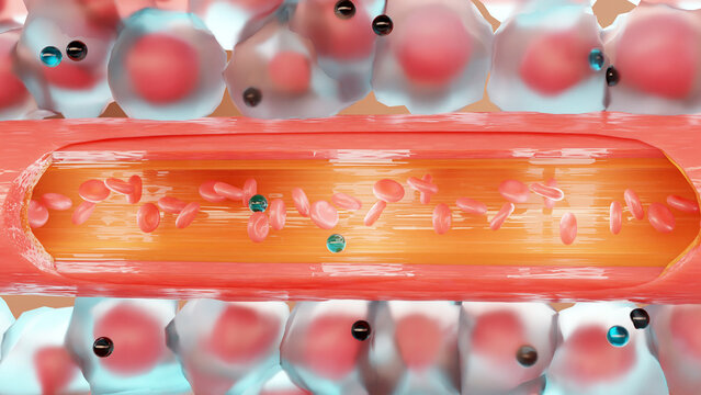 Anemic Hypoxia, hypoxic, stagnant, histotoxic, arterial pO2 and O2, arterio-venous shunts, Respiratory system, 3d render