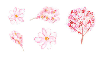 Blossoming watercolor pink tree. Spring flower in bloom on branch. Beautiful summer illustration. Sketch hand drawing. Japan aquarel card. Sakura design elements set. Isolated white background