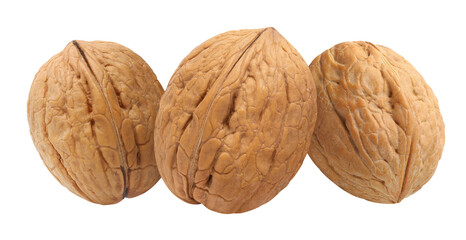 Delicious walnuts, isolated on white background