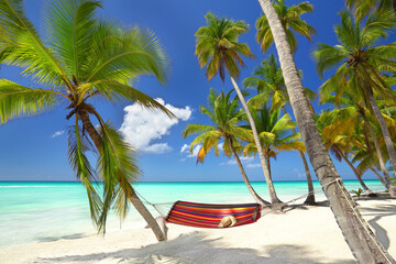 tropical island, perfect place for recreation in a hammock
