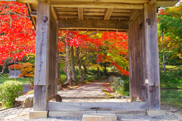 京都亀岡　龍穏寺の紅葉