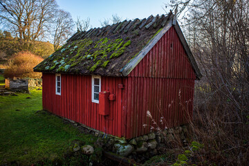 Obraz premium Old house in Sweden in classic red color (Falu rödfärg) with with window sidings and moss on the thatched roof and sun coming in behind.