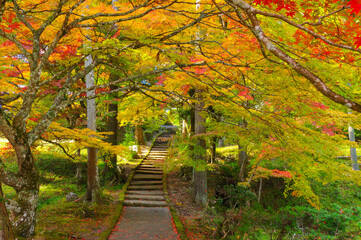京都亀岡　龍穏寺の紅葉
