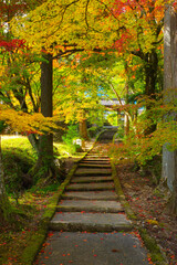 京都亀岡　龍穏寺の紅葉