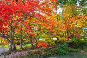 京都亀岡　龍穏寺の紅葉