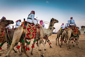 Desert safari camel ride in Abqaiq Eastern region Dammam Saudi Arabia. January 4th Year 2020 - obrazy, fototapety, plakaty