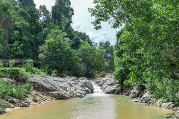 river at the forest