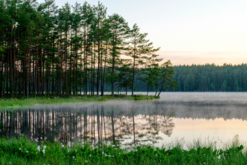 happy summer morning landscape by the lake, tree reflections in calm water, light fog on the water...