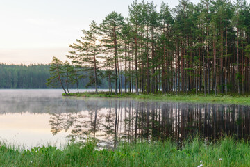 happy summer morning landscape by the lake, tree reflections in calm water, light fog on the water surface