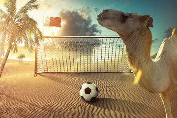 Fototapeta Fußball  WM - Weltmeisterschaft Katar obraz