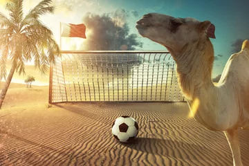 Fotobehang Fußball  WM - Weltmeisterschaft Katar © m.mphoto