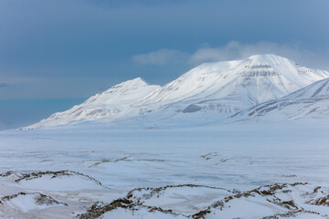 Shot in Svalbard May 2022