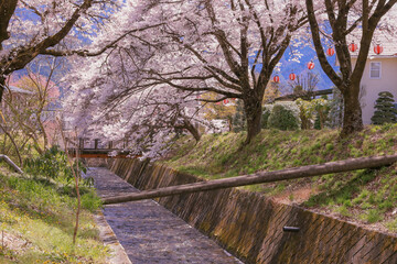 bridge in spring