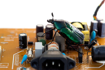 green scarab on the electronic circuit board