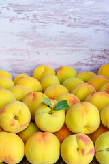 Many yellow peaches with a very appetizing appearance and with copy space.