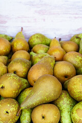 Many green conference type pears placed in a raw container, copy space.