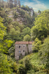 Obraz premium Old abandoned house in the foliage of the forests of Cantabria. Spain
