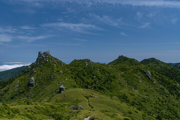 Obraz premium landscape with sky