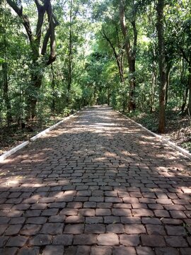 Parque do Ing&aacute; - Ing&aacute; Park - Maring&aacute; - Brazil