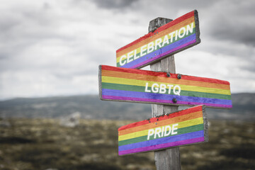 celebration lgbtq pride text quote on wooden signpost crossroad outdoors in nature. Freedom and lgbtq community concept.