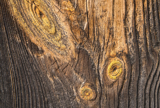 background old gray wood with shabby paint, with gaps between boards, knots. Weathered and faded natural wood with lines of boards, with space for text 