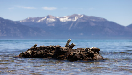 American Nature Landscape Background. Lake Tahoe, California, United States of America.