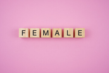 Female spelling on wood block pink background