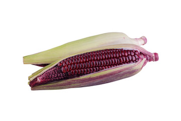 fresh purple corn isolated on a white background