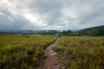 Fototapeta na wymiar I walk in the savannah of Canaima. national park. Land of Tepuis