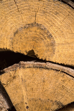 Background with stacked pieces of wood. Dominant yellow dry logs, natural fuel for heating, firewood. Pieces of pine and fir to burn.