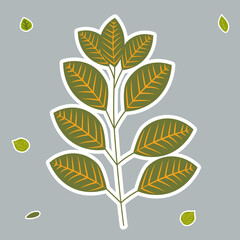 leaf sticker, in flat design, isolated vector