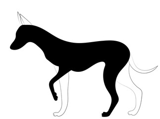 dog silhouette on white background