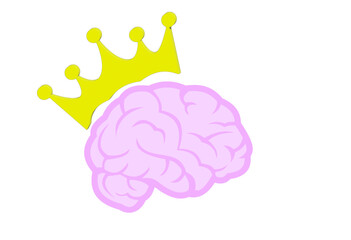Pink brain with yellow bevel crown