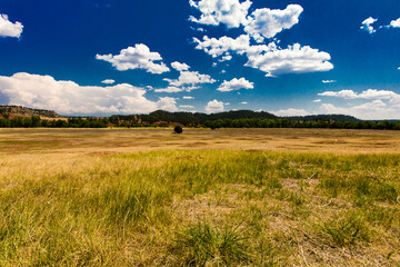 Prairie Dog Town, Devil's Tower National Monument, Wyoming