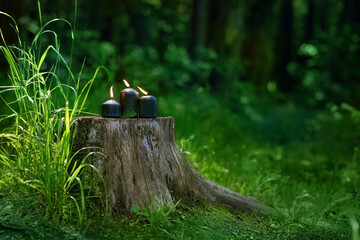 Magic black candles on tree trunk in forest, green blurred natural background. candle for Wiccan practice, Litha sabbat. Witchcraft, esoteric spiritual ritual, divination. mysterious fairy scene - obrazy, fototapety, plakaty