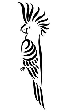 Parrot elegant design vector. Hand drawn black and white  stylized bird illustration.  Vector template icon symbol.