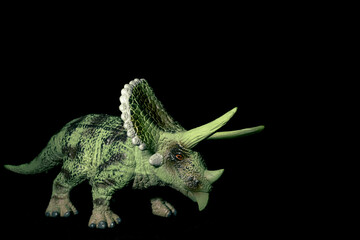 Toy herbivore dinosaur on a black background. Toy Triceratops