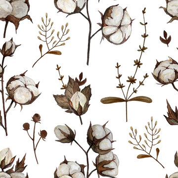 Watercolor seamless pattern with the cotton plant on white background. Hand-drawn illustration in boho style. Perfect for cards, invitations, wrapping, and children's textile.