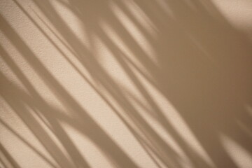 Natural shadow at the window overlay on clean minimal beige, dry leaves color texture abstract...