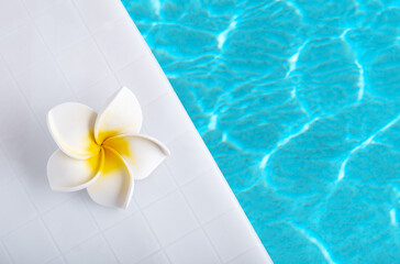 Fototapeta na wymiar Frangipani flower on pool side with blue water waves. Summer minimal wallpaper. Copy space.