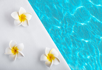 Aerial view plumeria flowers on poolside with beautiful blue shiny water. Summer spa pastel colors concept.