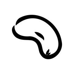 Cashew nut walnut. Cashew hand drawing vector illustration