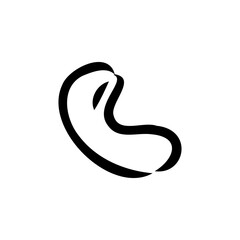 Cashew nut walnut. Cashew hand drawing vector illustration