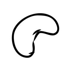 Cashew nut walnut. Cashew hand drawing vector illustration