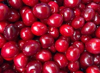 A bunch of red fresh tasty cherries