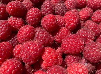 A bunch of red fresh tasty raspberries